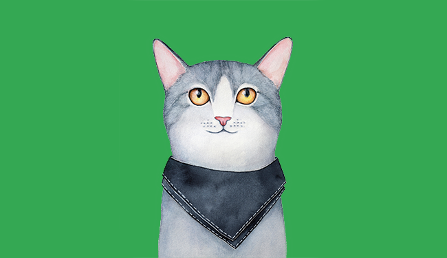 cat